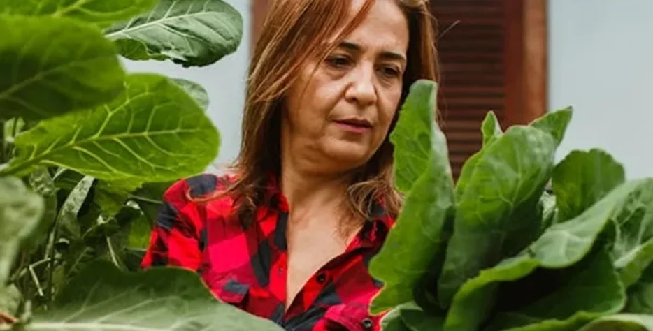 We grow fresh, organic produce using clean methods that protect nature, healthy food.